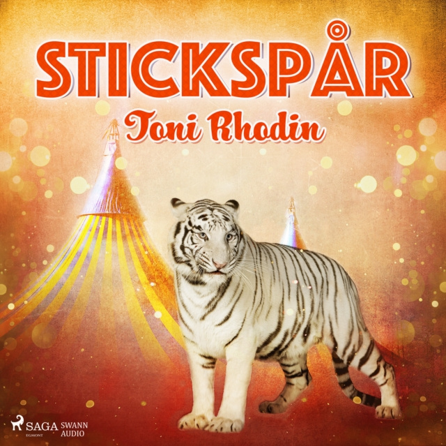 Hörbuch Stickspar Rhodin