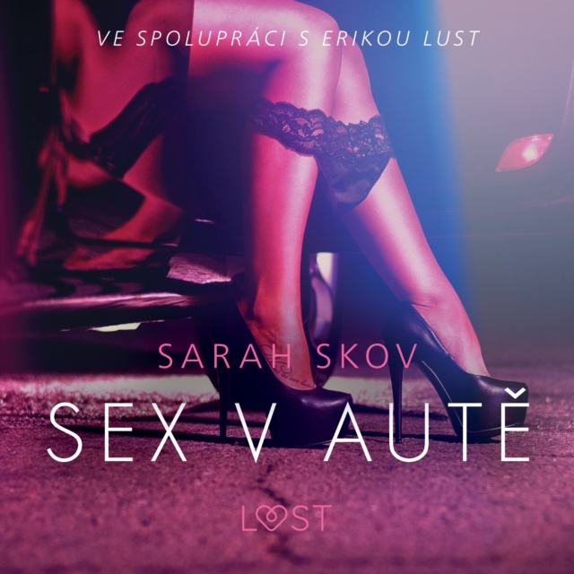 Audio knjiga Sex v aute - Sexy erotika Skov