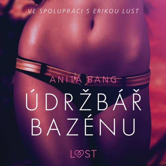 Audiobook Udrzbar bazenu - Sexy erotika Bang