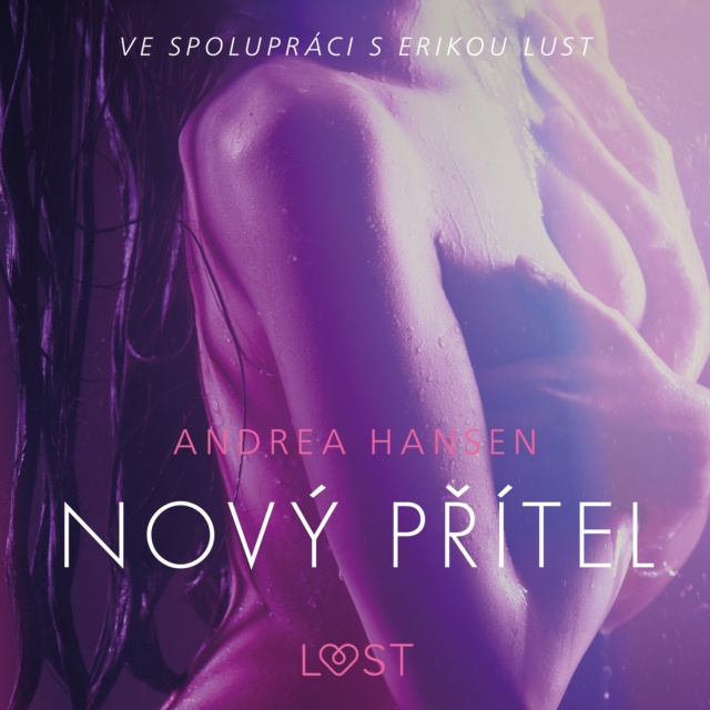 Audiobook Novy pritel - Eroticka povidka Hansen