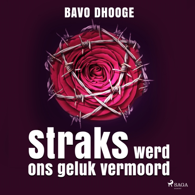 Audiobook Straks werd ons geluk vermoord Dhooge