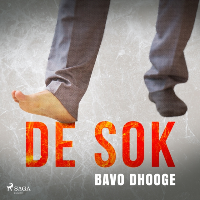 Audiolivro De sok Dhooge