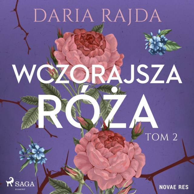 Audiobook Wczorajsza roza. Tom 2 Rajda