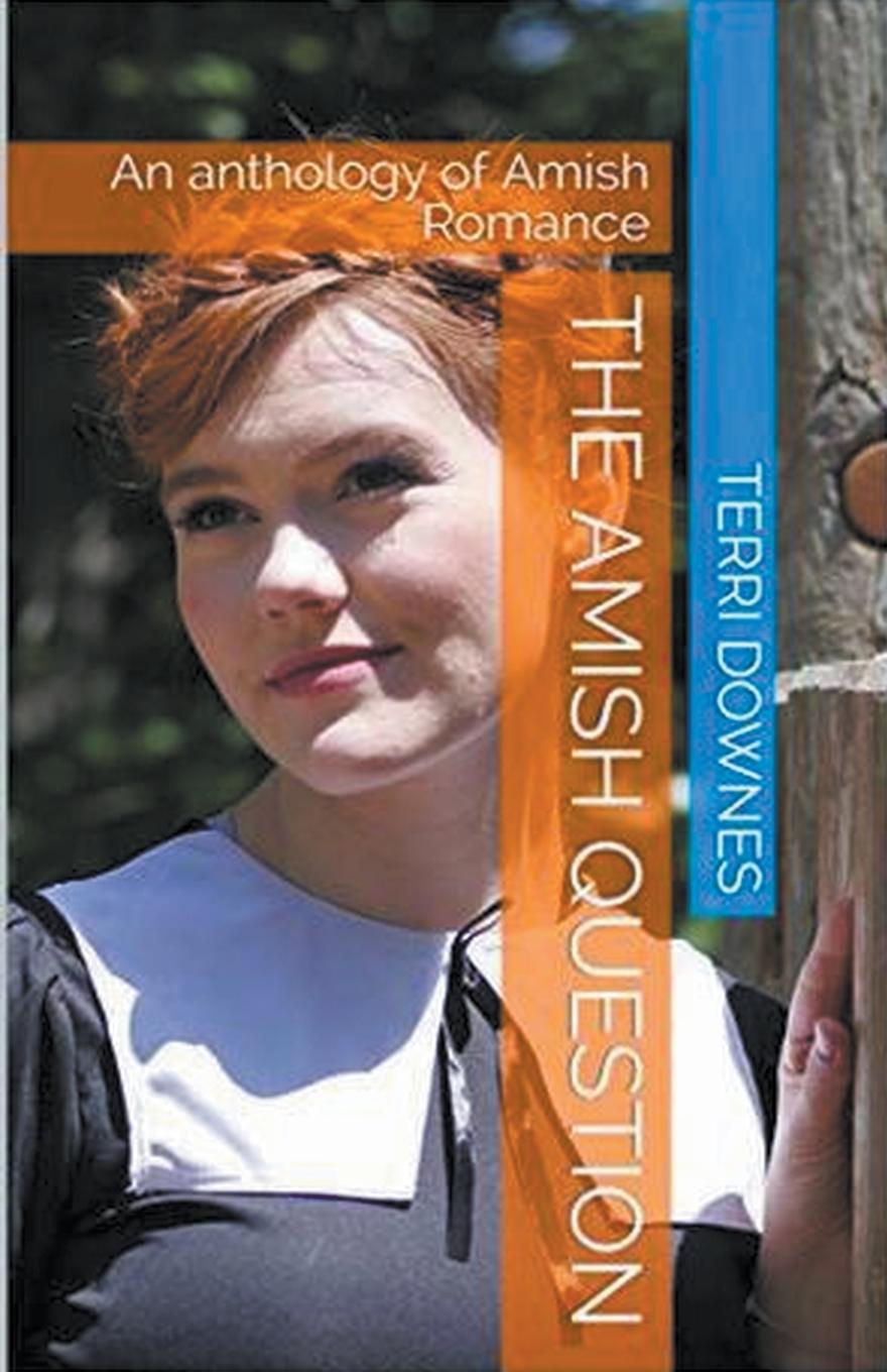 Buch The Amish Question Terri Downes