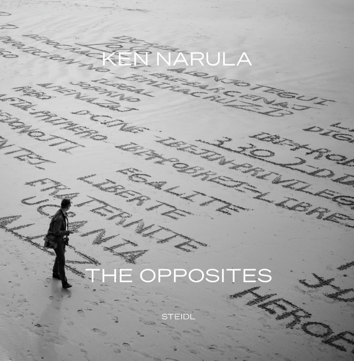 Knjiga Lost & Found Ken/Rummy Narula