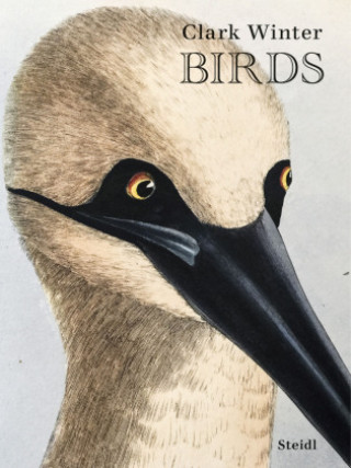 Knjiga Birds Clark Winter