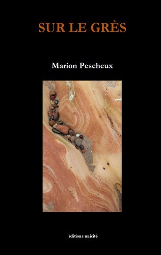 Knjiga Sur le grès Pescheux