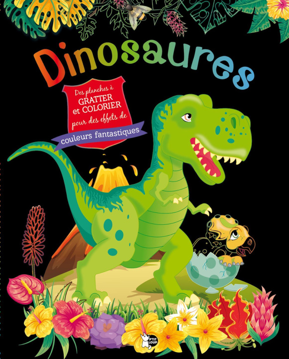Book Dinosaures 