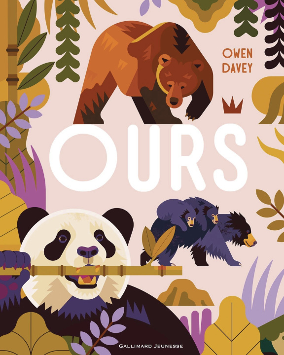 Kniha OURS OWEN DAVEY