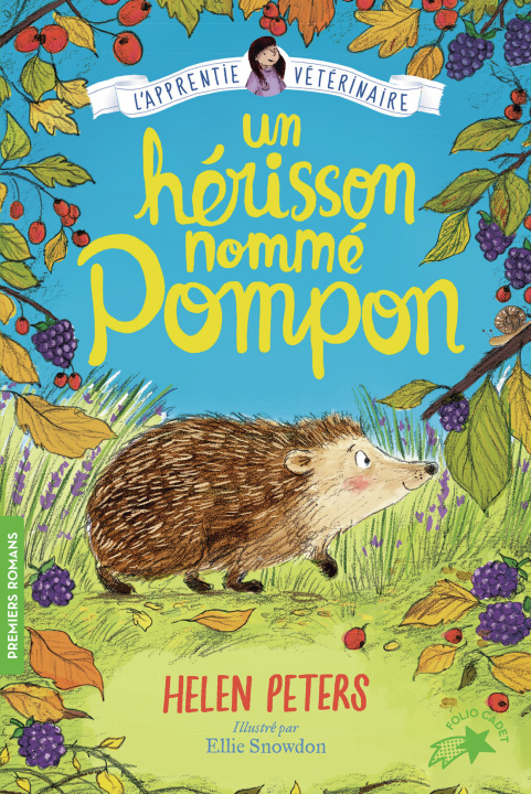 Książka UN HERISSON NOMME POMPON HELEN PETERS