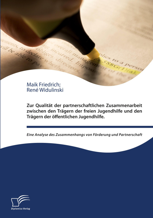 Kniha Zur Qualität der partnerschaftlichen Zusammenarbeit zwischen den Trägern der freien Jugendhilfe und den Trägern der öffentlichen Jugendhilfe eine Anal Maik Friedrich