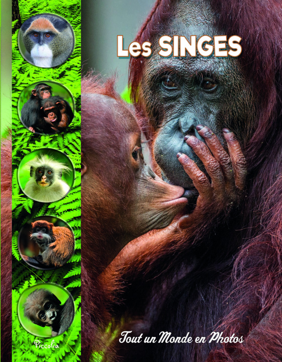Knjiga Les singes 