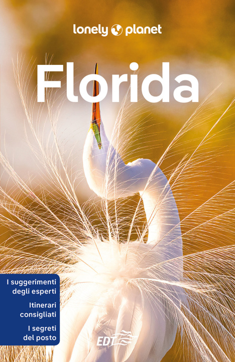 Book Florida Adam Karlin