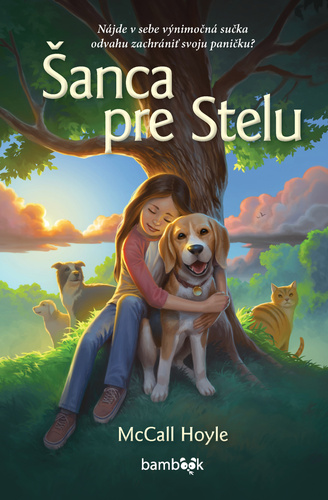 Buch Šanca pre Stelu McCall Hoyleová