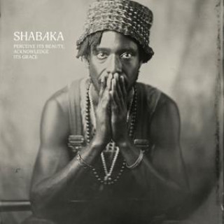 Audio Perceive Its Beauty,Acknowledge Its Grace Shabaka