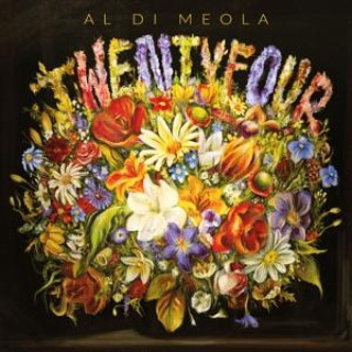 Audio Twentyfour(2CD) Al Di Meola