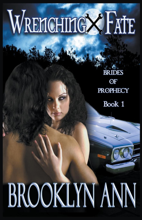 Knjiga Wrenching Fate Brooklyn Ann