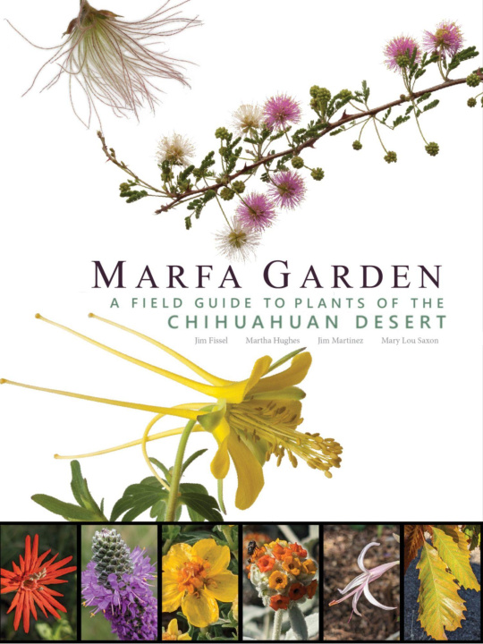 Kniha Marfa Garden Jim Martinez