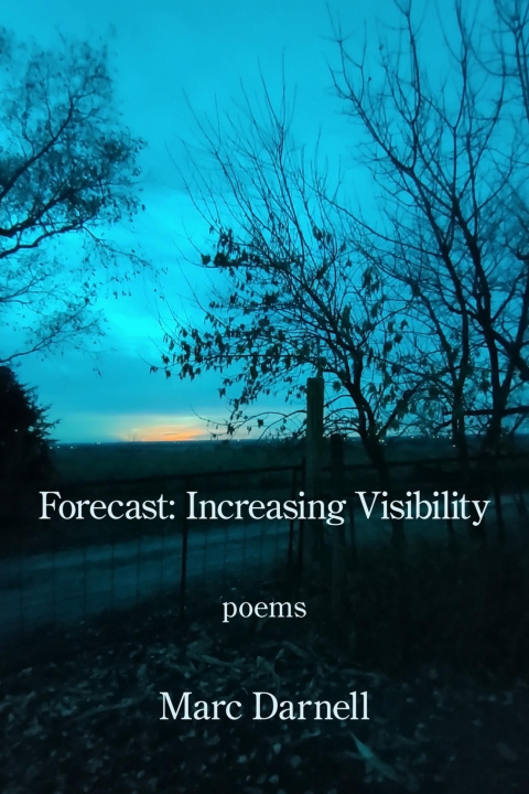 Knjiga Forecast Marc Darnell