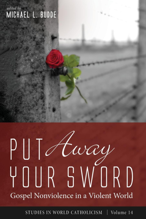 Knjiga Put Away Your Sword Michael L. Budde