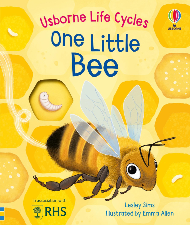 Kniha One Little Bee Peep Inside Christmas Emma Allen