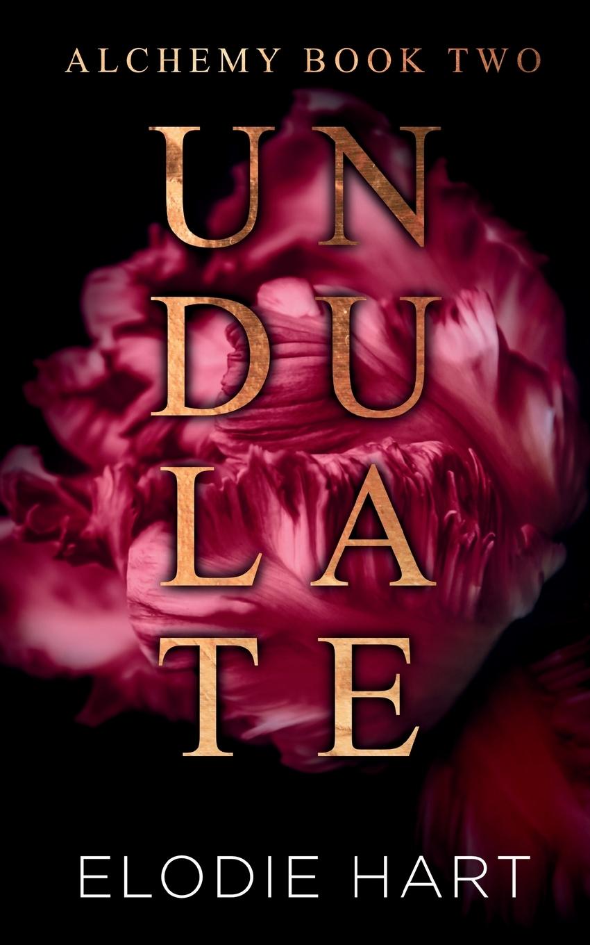 Buch Undulate 