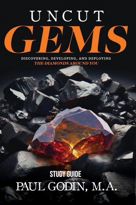 Buch Uncut Gems Study Guide Paul Godin