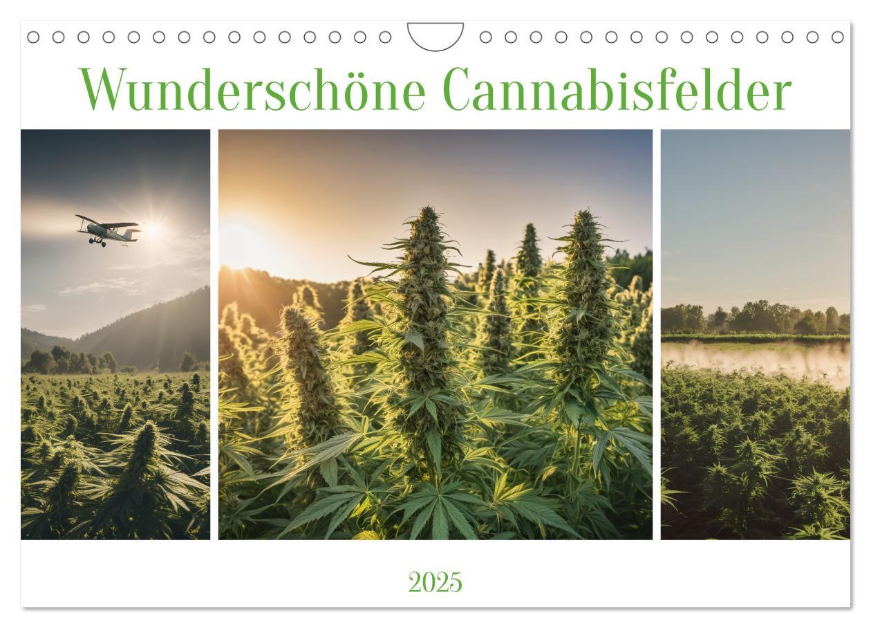Calendar / Agendă Wunderschöne Cannabisfelder (Wandkalender 2025 DIN A4 quer), CALVENDO Monatskalender 
