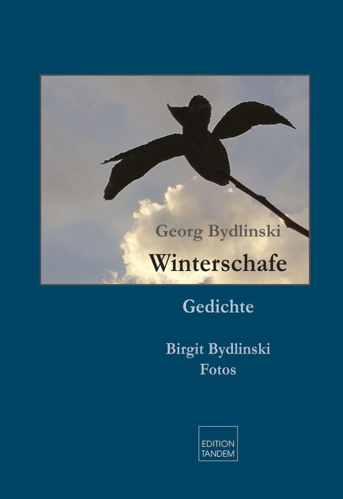 Boek Blättervogel Birgit Bydlinski