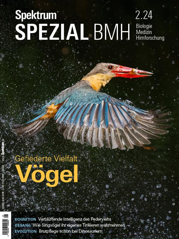 Kniha Spektrum Spezial BMH 2/2024 - Vögel 