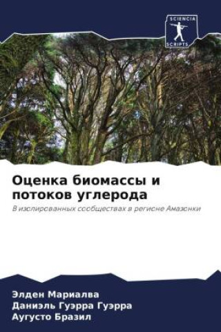 Könyv Ocenka biomassy i potokow ugleroda Daniäl' Guärra Guärra