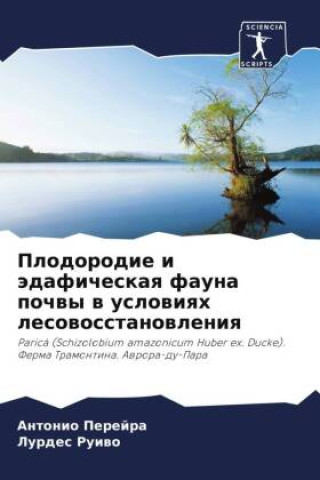 Könyv Plodorodie i ädaficheskaq fauna pochwy w uslowiqh lesowosstanowleniq Lurdes Ruiwo