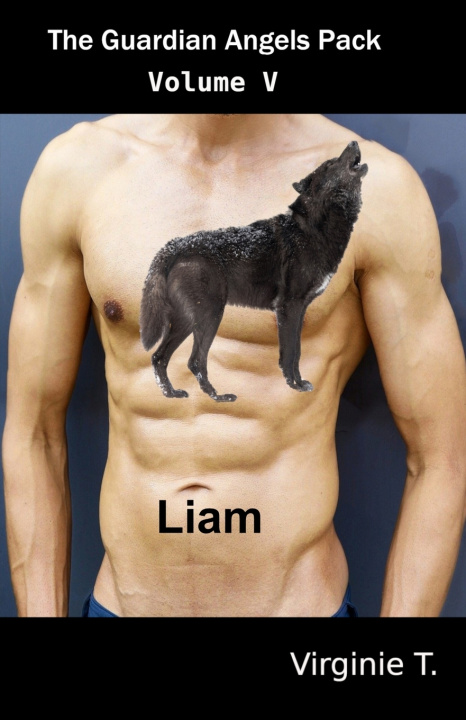 Knjiga Liam Rhys Llwyd