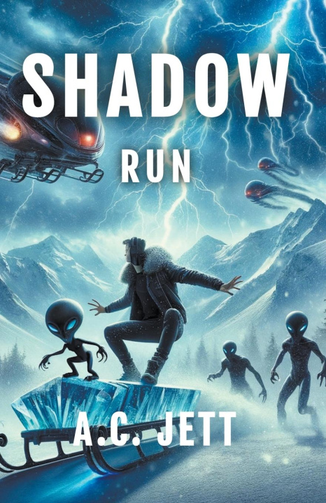 Knjiga Shadow Run 