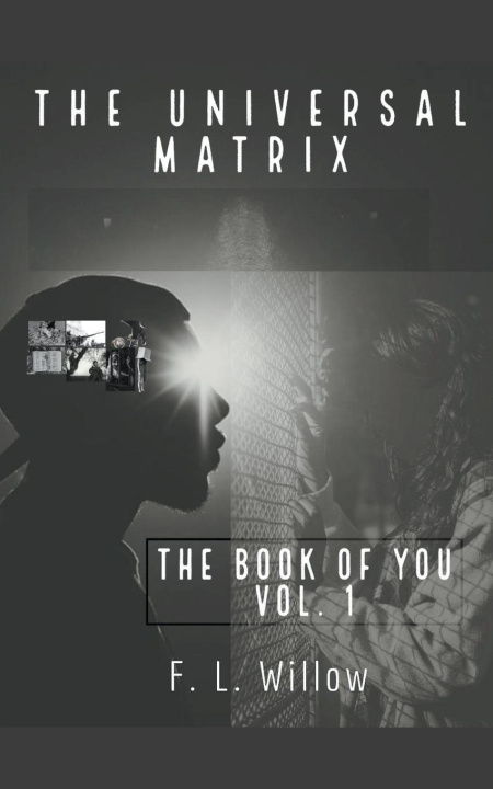 Buch The Universal Matrix 