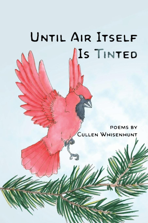 Książka Until Air Itself Is Tinted Cullen Whisenhunt