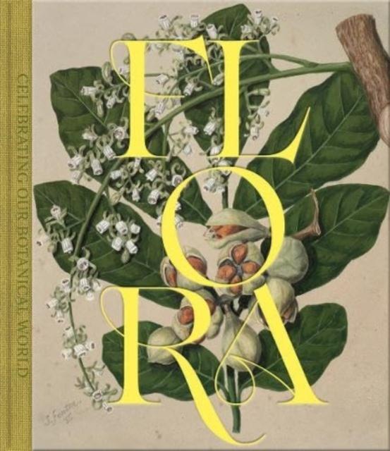Knjiga Flora Claire Regnault