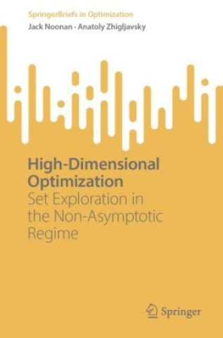 Knjiga High-Dimensional Optimization Jack Noonan