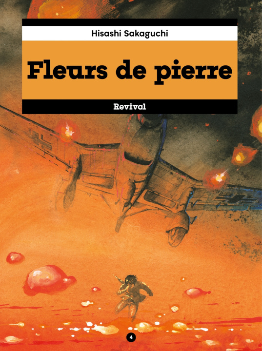 Kniha Fleurs de pierre tome 4 