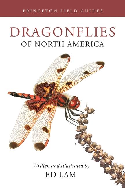 Книга Dragonflies of North America Ed Lam