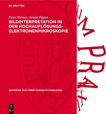 Kniha Bildinterpretation in der Hochauflösungs-Elektronenmikroskopie Reinald Hillebrand