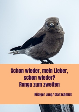 Buch der zweite teil Olaf Schmidt