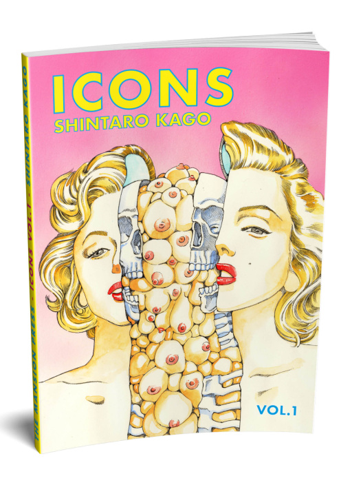 Βιβλίο Icons 