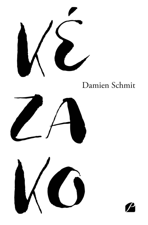 Knjiga Kézako Damien Schmit