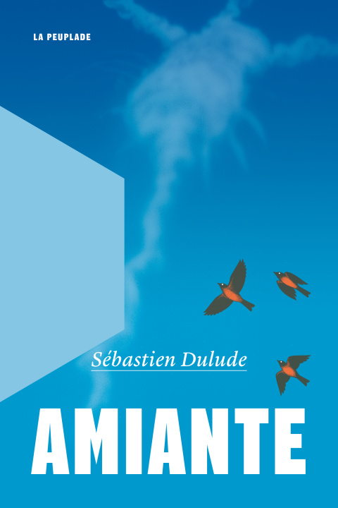 Knjiga Amiante Dulude