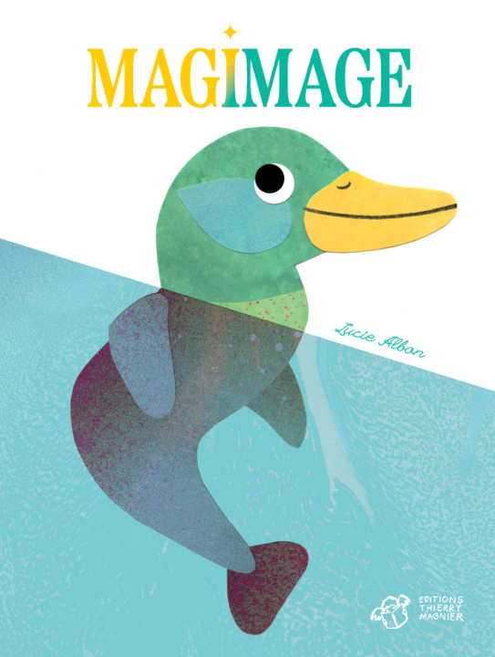 Książka Magimage Albon