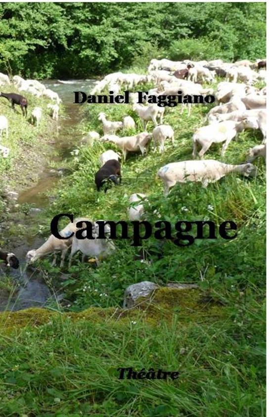 Kniha Campagne Daniel