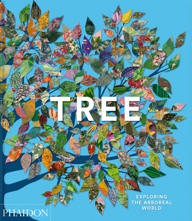 Buch TREE PHAIDON EDITORS