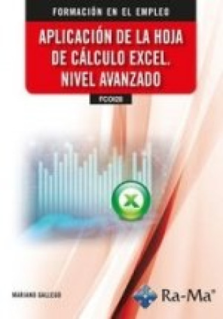Kniha APLICACION DE LA HOJA DE CALCULO EXCEL NIVEL AVANZADO MARIANO GALLEGO
