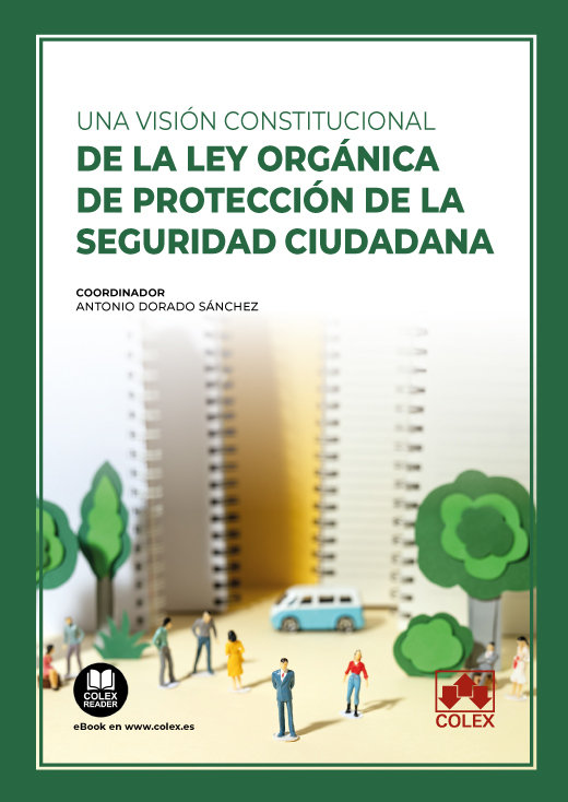 Kniha UNA VISION CONSTITUCIONAL DE LEY ORGANICA PROTECCION SEGURI 